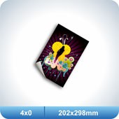 ADESIVO RETANGULAR  202 X 298 MM  .  COUCHE  80 GRS/OFF SET   .  25  PÇS.  